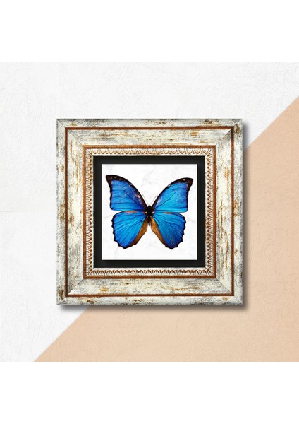 Kelebek Taş Duvar Tablosu Çerçeveli Duvar Dekoru Wall Art