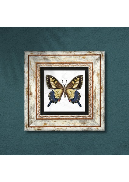 Kelebek Taş Duvar Tablosu Çerçeveli Duvar Dekoru Wall Art