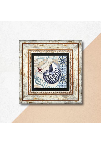 Deniz Kabuğu Taş Duvar Tablosu Çerçeveli Duvar Dekoru Wall Art T1-400