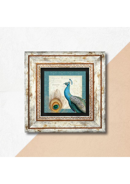 Tavus Kuşu Taş Duvar Tablosu Çerçeveli Duvar Dekoru Wall Art T1-79