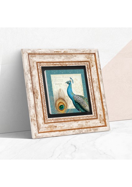 Tavus Kuşu Taş Duvar Tablosu Çerçeveli Duvar Dekoru Wall Art T1-79