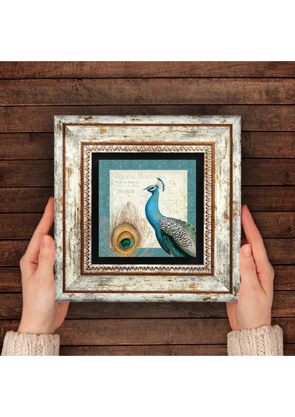 Tavus Kuşu Taş Duvar Tablosu Çerçeveli Duvar Dekoru Wall Art T1-79