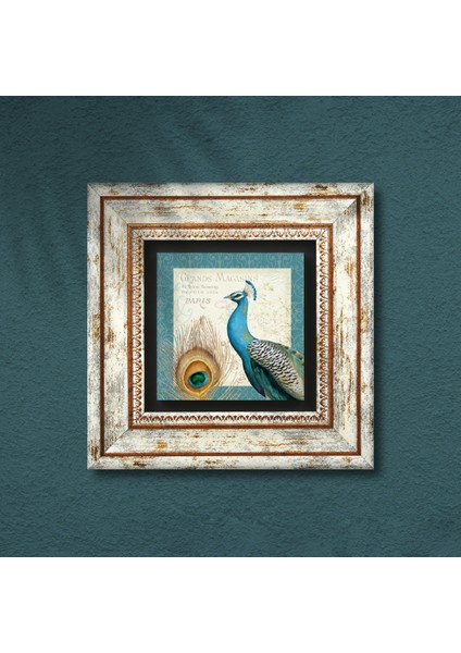 Tavus Kuşu Taş Duvar Tablosu Çerçeveli Duvar Dekoru Wall Art T1-79