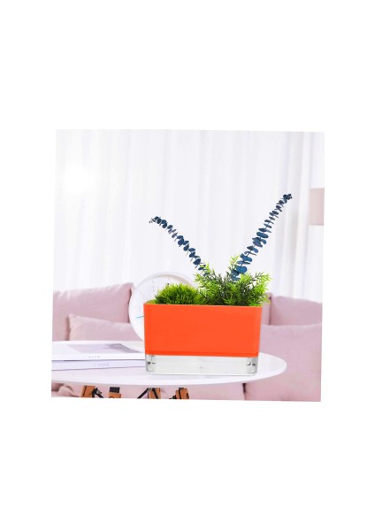 Happy Vase Akıllı Çiçek Saksı - Hidro Saksı (Kendi Kendine Sulama Yapan)