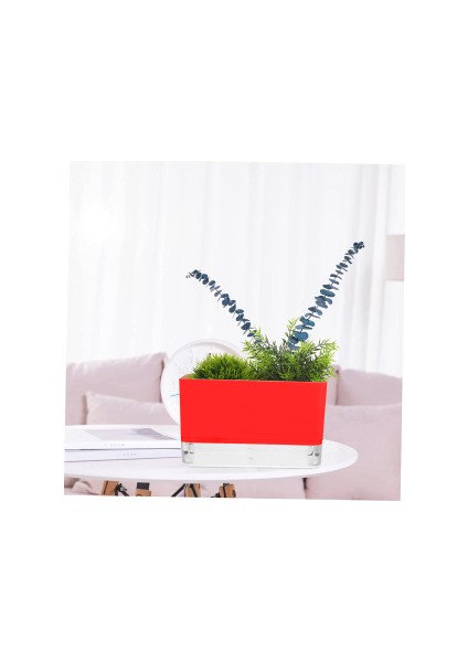 Happy Vase Akıllı Çiçek Saksı - Hidro Saksı (Kendi Kendine Sulama Yapan)