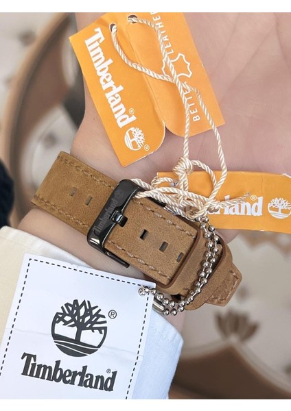 TDWGB2183004 Erkek Kol Saati 30 mt Suya Dayanıklı Özel Tasarım Deri Kordon indirimleri