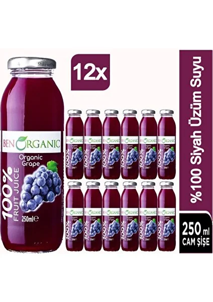 Ben Organic Siyah Üzüm Suyu 12 x 250 ml