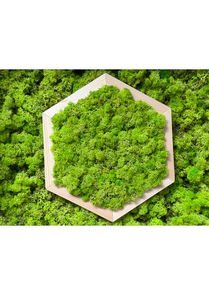 Ahşap Çerçeveli Altıgen-Açık Yeşil