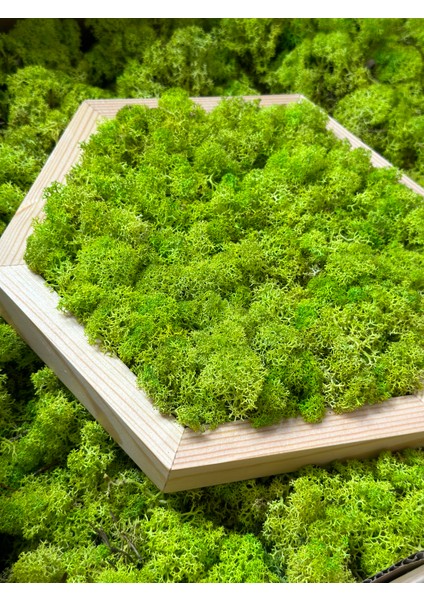 Ahşap Çerçeveli Altıgen-Açık Yeşil fiyatları