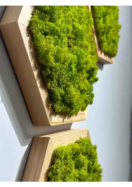 Ahşap Çerçeveli Altıgen-Açık Yeşil modelleri