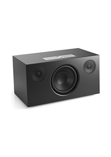 C10 MkII Siyah Multiroom Akıllı Ev Hoparlörü