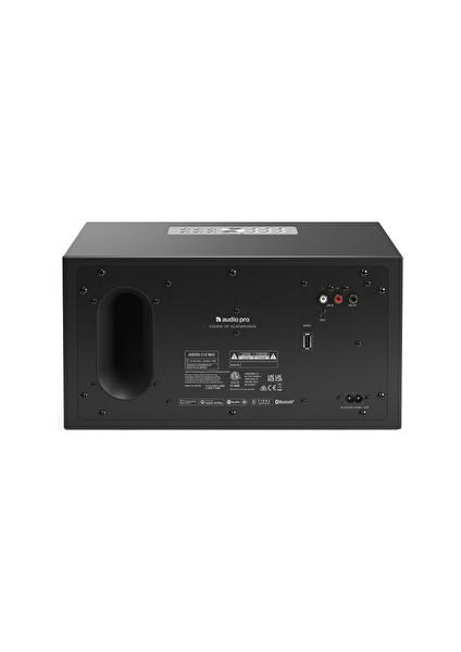 C10 MkII Siyah Multiroom Akıllı Ev Hoparlörü