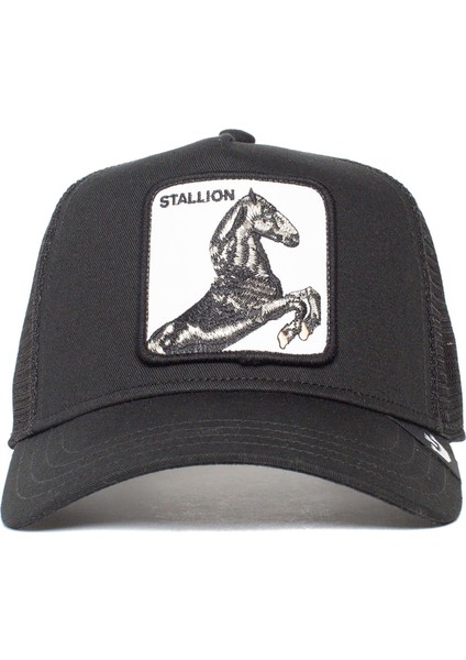 The Stallion Siyah Şapka (101-0393-BLK)
