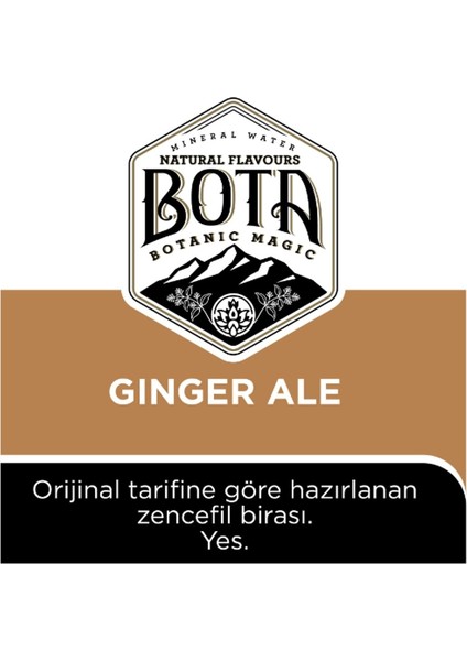 Ginger Ale Original Recipe Tonic 6 x 250 ml