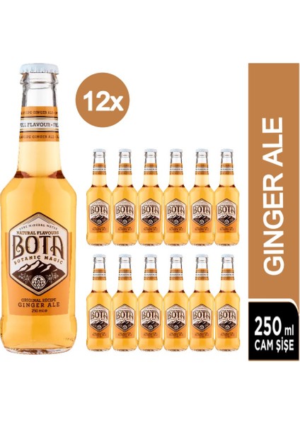 Ginger Ale Original Recipe Tonic 12 x 250 ml