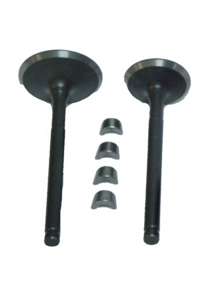 Subap Takımı Dq 125 Ybr