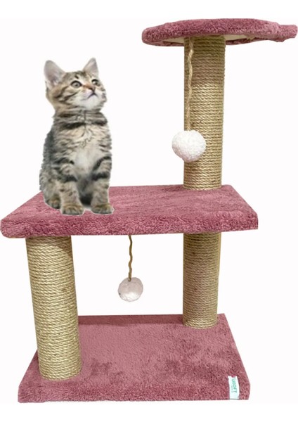 Katlı Yavru Kedi Tırmalama Tahtası Yavru Kedi Step