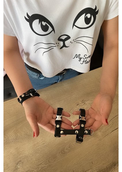 Kedi Harness Göğüs ve Gezdirme Seti