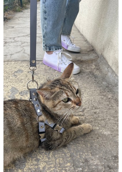 Karanlıkta Yansıyan Reflektörlü Kedi Harness , Özel Tasmalı Kedi Harness