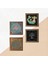 Yaşam Çiçeği, Hayat Ağacı, Şahmeran Taş Duvar Tablosu Ahşap Çerçeveli Duvar Dekoru 4 Parça Tablo Seti Wall Art W4-457 5