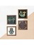 Stone Nazar, Yaşam Çiçeği, Şahmeran, Fatma Ana Eli (Hamsa) Ahşap Çerçeveli Taş Duvar Tablosu 4’lü Set – 25x25 cm Dekoratif Modern Sanat – Ev ve Ofis Dekoru |W4-798| 5