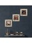 Tavus Kuşu, Kelebekli Çiçek, Nar Taş Duvar Tablosu Çerçeveli Duvar Dekoru 3 Parça Tablo Seti Wall Art T3-1248 1