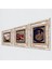 Tavus Kuşu, Kelebekli Çiçek, Nar Taş Duvar Tablosu Çerçeveli Duvar Dekoru 3 Parça Tablo Seti Wall Art T3-1248 2