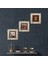 Hırka-i Şerif, Kelebekli Çiçek, Nar Taş Duvar Tablosu Çerçeveli Duvar Dekoru 3 Parça Tablo Seti Wall Art T3-1254 1