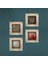 Yaşam Çiçeği, Sri Yantra, Nar Taş Duvar Tablosu Çerçeveli Duvar Dekoru 4 Parça Tablo Seti Wall Art T4-555 4