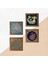 Yaşam Çiçeği, Tavus Kuşu, Şahmeran Taş Duvar Tablosu Ahşap Çerçeveli Duvar Dekoru 4 Parça Tablo Seti Wall Art W4-476 5