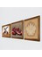 Lotus Çiçeği, Semazen, Nar Taş Duvar Tablosu Ahşap Çerçeveli Duvar Dekoru 3 Parça Tablo Seti Wall Art W3-874 2