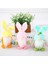 Easter Bunny Gnome El Yapımı Isveç Tomte Tavşan Peluş Oyuncak, D (Yurt Dışından) 5