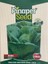 Pinaper Seed Marul Tohumu - Yedikule - 10GR 1