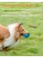 Gıcırtılı Köpek Oyuncakları, [8 Paket] Squeakers ile Yumuşak Dolması Peluş Topları, Interaktif Fetch Yavru Küçük Orta Evcil Hayvanlar Için Oyna (Yurt Dışından) 4