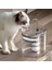 Otomatik Kedi Içme Çeşmesi 2l Yavru Kedi Içme Çeşmesi (Yurt Dışından) 2