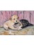 Kedi Ile Köpeğin Dostluğu Kanvas Tablo 1