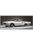 1966 Model Ford Thunderbird Kanvas Tablo 1