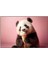 Dondurma Yiyen Yavru Panda Kanvas Tablo 1