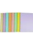 Flex Pastel 40 Yaprak A4 Pp Kapak Spiralli Defter (1 Adet Çizgili- 2 Adet Kareli) 1