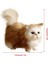 Sheng Store Kedi Peluş Oyuncak (Yurt Dışından) 1