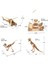 9'lu Ahşap 3D Maket ,ahşap 3D Puzzle Seti 9st-1 3