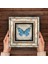 Kelebek Taş Duvar Tablosu Çerçeveli Duvar Dekoru Wall Art T1-220 4