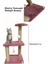Katlı Yavru Kedi Tırmalama Tahtası Yavru Kedi Step 2
