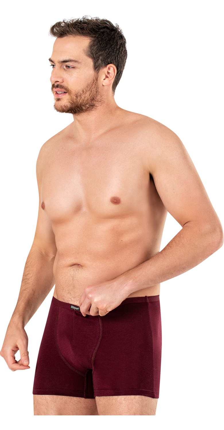 Özkan Underwear Özkan 11897 Erkek Pamuklu Modal Boxer Şort görsel 3