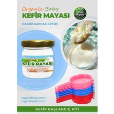 Organic Baby Kafkas Kefir Mayası