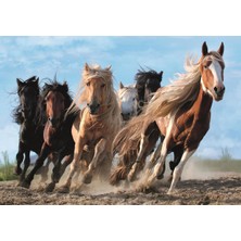 Trefl Galloping Horses 1000 Parça Puzzle