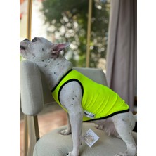 Bambo Pet Store Neon Sarı File T Shirt