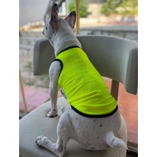 Bambo Pet Store Neon Sarı File T Shirt