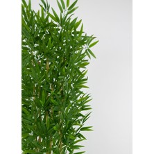 Biçiçek Yapay Bambu Ağacı 170CM Krem Metal Saksıda Gold