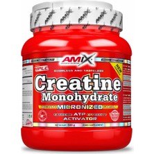 Amıx Creatine Monohydrate 500 gr